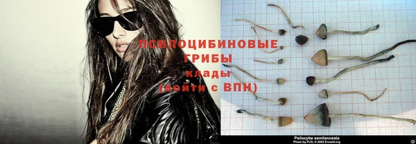 СК Богородицк